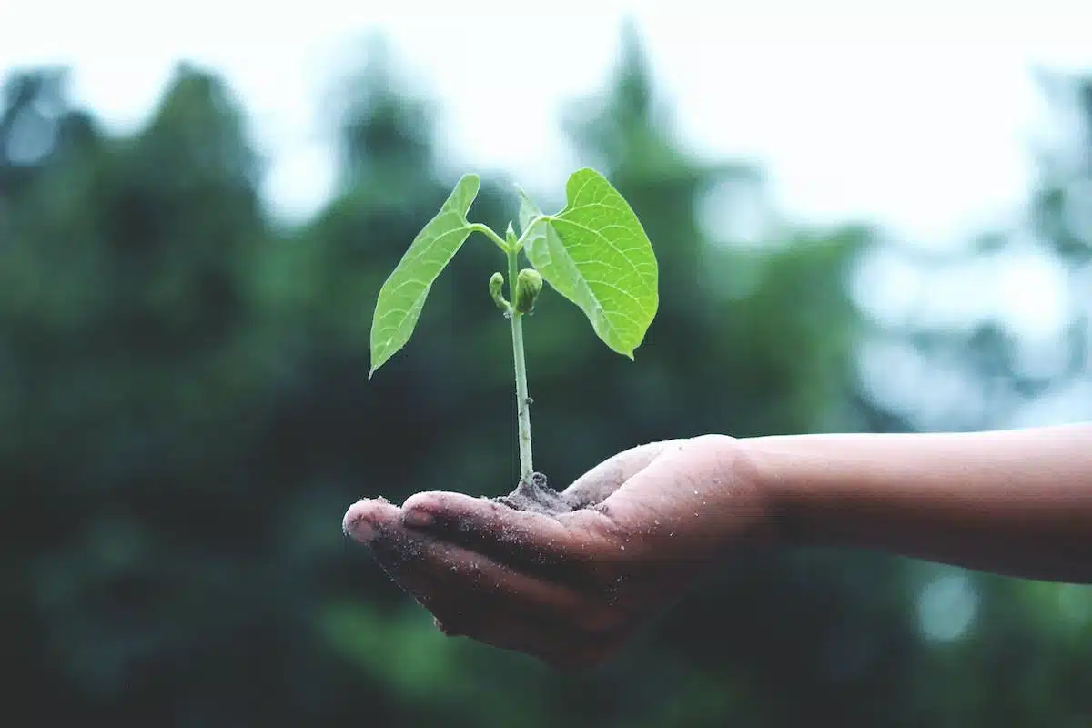 économie durable